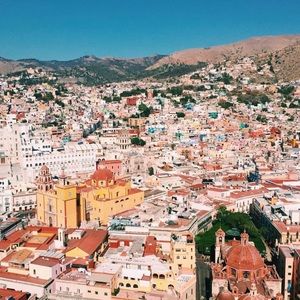 Meet your Posher, Liz